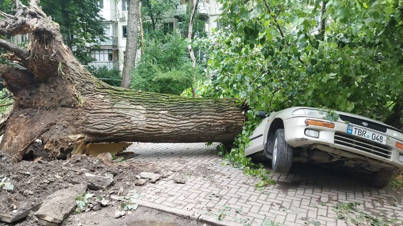 Катастрофические последствия урагана в Молдове: Двое погибших, вырванные с  корнем деревья и десятки обесточенных населенных пунктов | VIDEO | Сanal 5